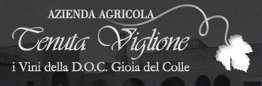 Azienda Agricola Tenuta Viglione